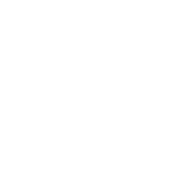 Dealer Fattura