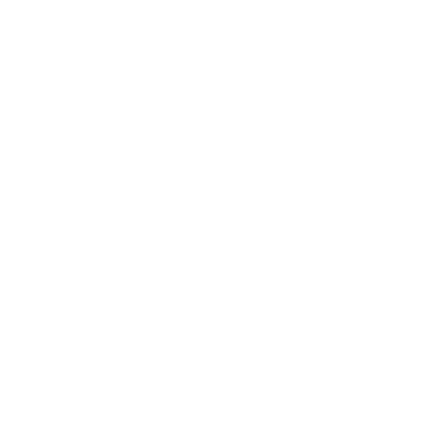 Registro Telematico